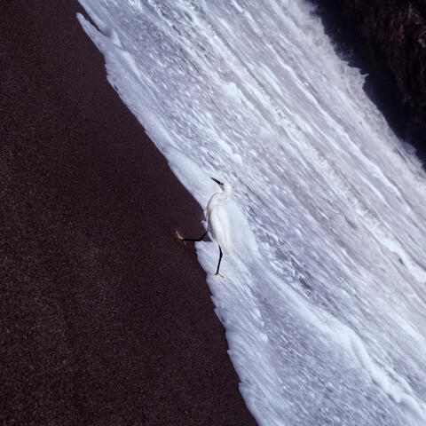 Caught Between The Middle